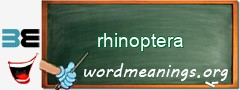 WordMeaning blackboard for rhinoptera